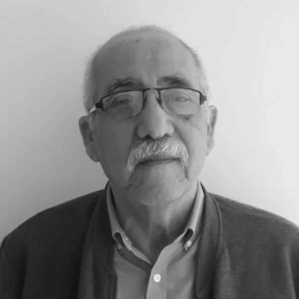 JOEL MENESES